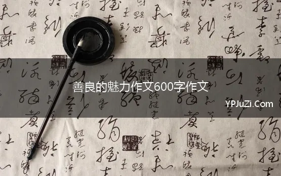 善良的魅力作文600字作文