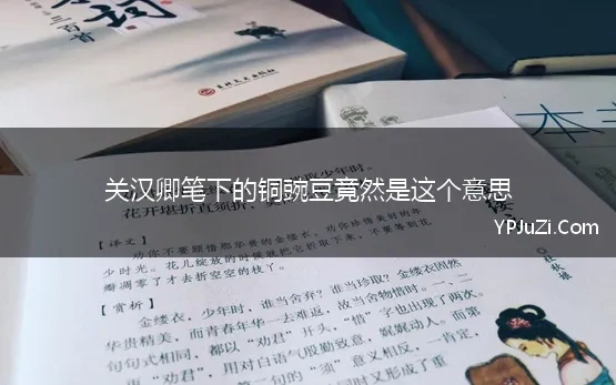 关汉卿笔下的铜豌豆竟然是这个意思(“铜豌豆”关汉卿)