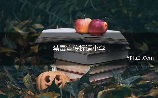 禁毒宣传标语小学