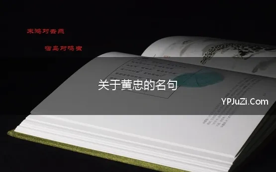 关于黄忠的名句 《三国演义》12句非常经典的名人名言