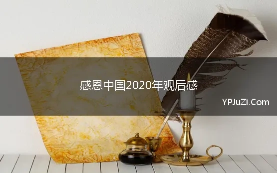 感恩中国2020年观后感