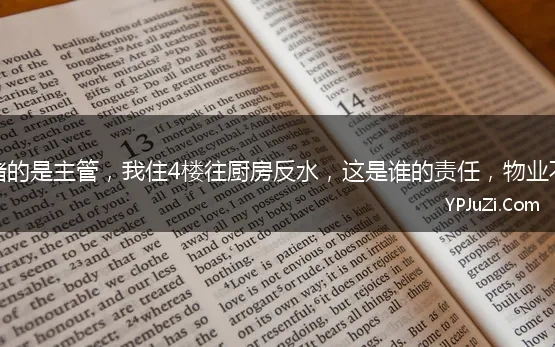 厨房下水道堵了，堵的是主管，我住4楼往厨房反水，这是谁的