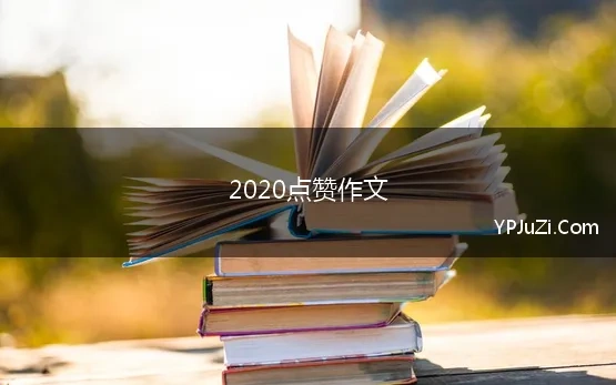 2020点赞作文