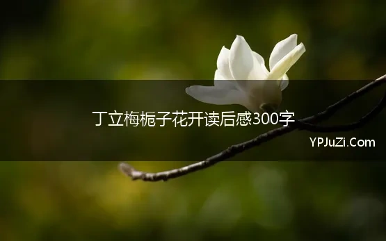 丁立梅栀子花开读后感300字