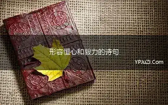 形容恒心和毅力的诗句 “毅力恒心”有关排比句大全