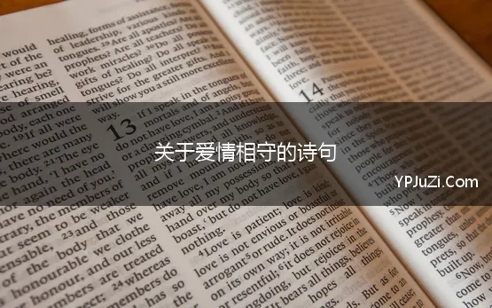 关于爱情相守的诗句