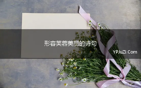 形容芙蓉美丽的诗句