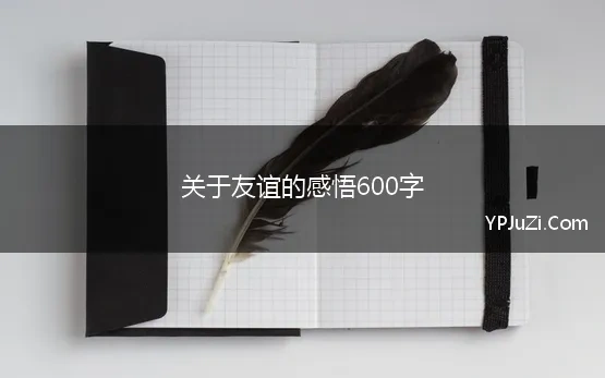 关于友谊的感悟600字 友情的作文600字