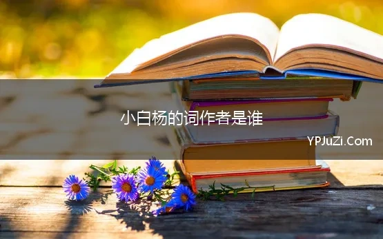 小白杨的词作者是谁