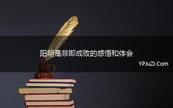 阳明是非即成败的感悟和体会