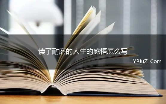 读了耐磨的人生的感悟怎么写(耐磨的人生励志读书心得)