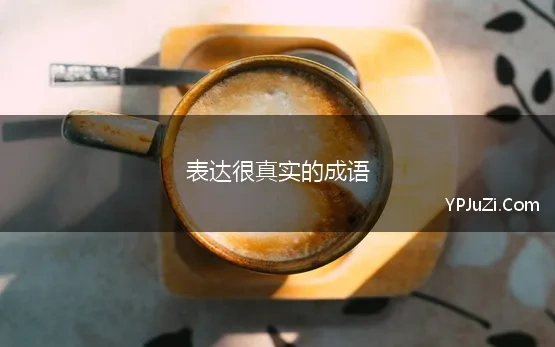 表达实际的成语