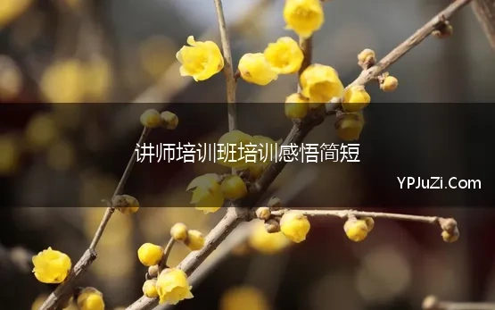 讲师培训班培训感悟简短