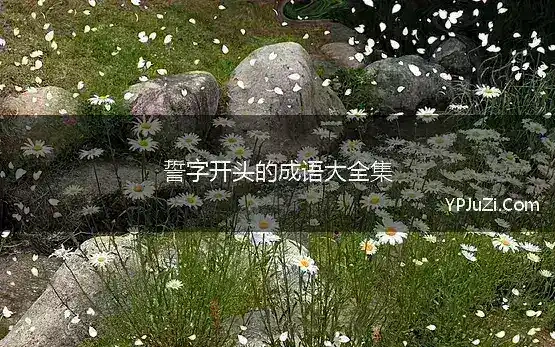 誓字开头的成语大全集