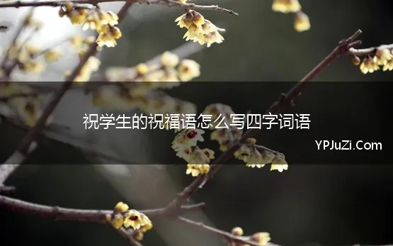 对大学生的祝福语四字