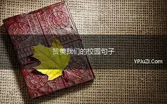 赞美我们的校园句子