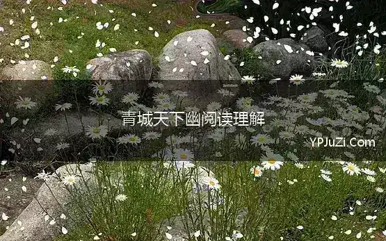 青城天下幽阅读理解