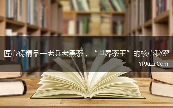 安化黑茶 千两茶收藏