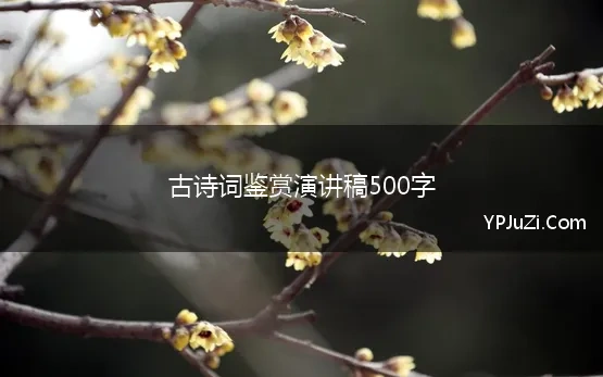 古诗词鉴赏演讲稿500字