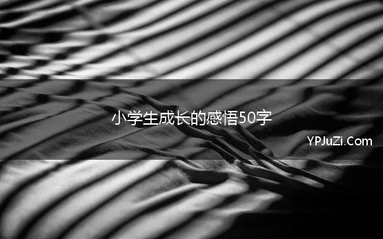 小学生成长的感悟50字(成长的作文50字20篇)