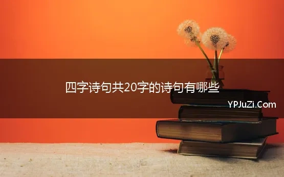 四字诗句共20字的诗句有哪些