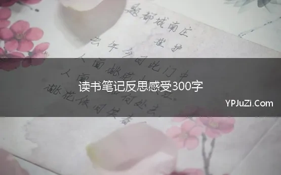 读书笔记反思感受300字