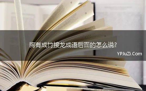 胸有成竹接龙成语后面的怎么说? 成语接龙