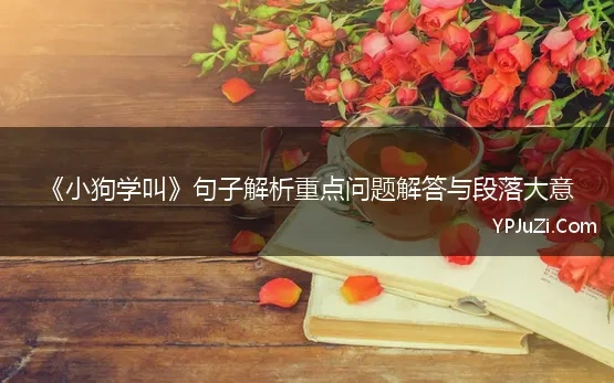 小狗学叫的阅读感想是什么?