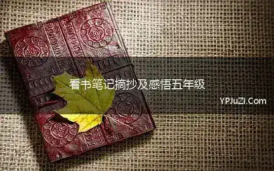 看书笔记摘抄及感悟五年级