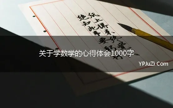 关于学数学的心得体会1000字