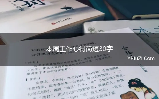 本周工作心得简短30字