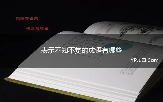 表示不知不觉的成语有哪些