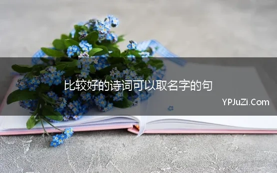 比较好的诗词可以取名字的句