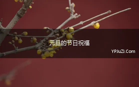 元旦的节日祝福(元旦节优美祝福句子)