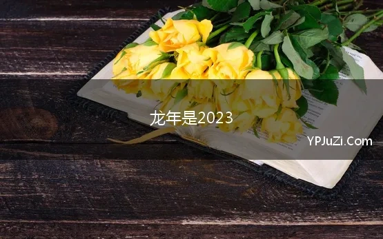 龙年是2023