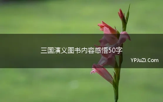 三国演义图书内容感悟50字