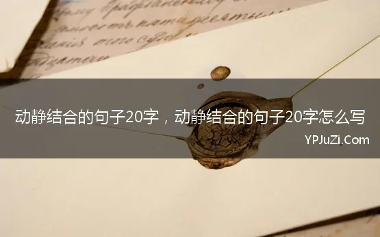 动静结合的句子20字