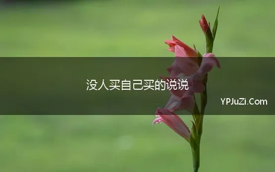 没人买自己买的说说 想买的东西又没钱买的经典句子