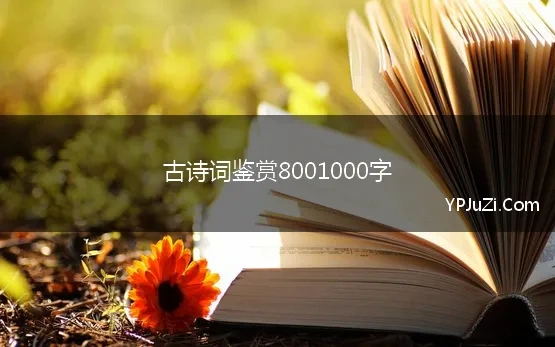 古诗词鉴赏8001000字