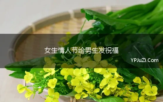 女生情人节给男生发祝福