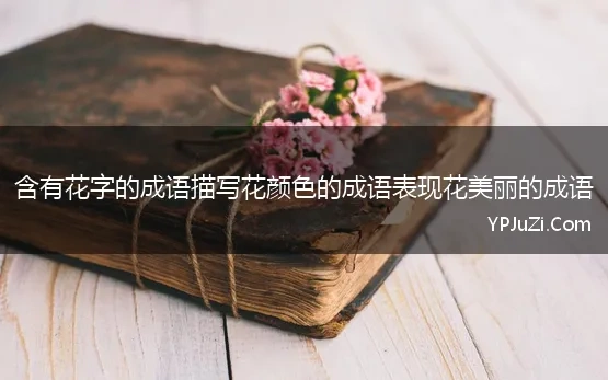 含花字和色字的成语有什么