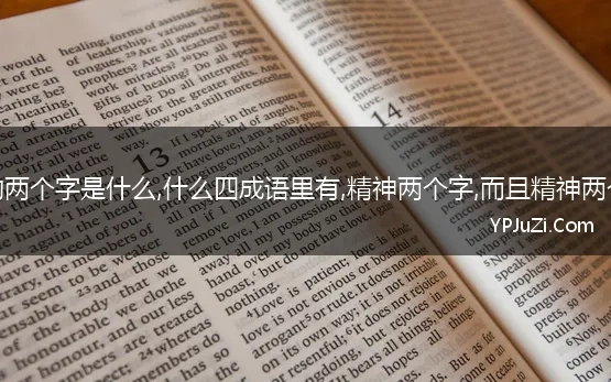 有精神两个字的成语是什么