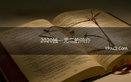 2020独一无二的简介 独一无二句子