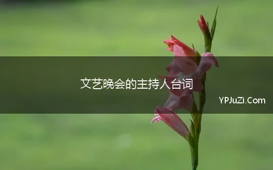 文艺晚会的主持人台词