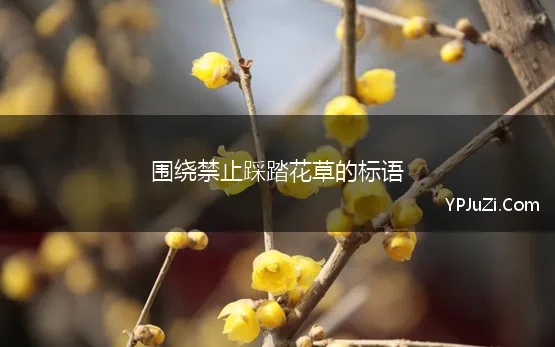 围绕禁止踩踏花草的标语