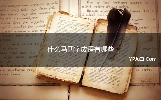 什么马四字成语有哪些(第四个字是马的成语)