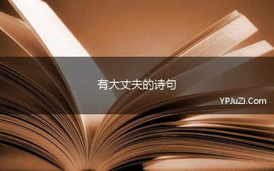 有大丈夫的诗句 有没有一句振奋人心的句子或诗句