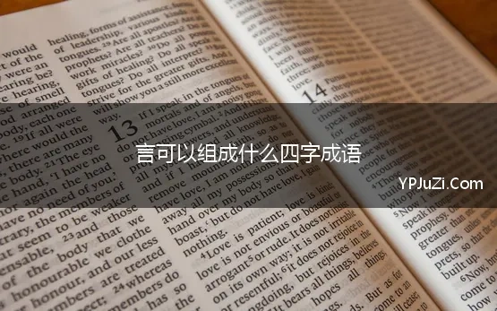 言可以组成什么四字成语