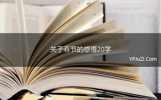 关于春节的感悟20字 优选关于春节的名言20个字