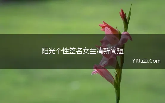 关于阳光的个性签名